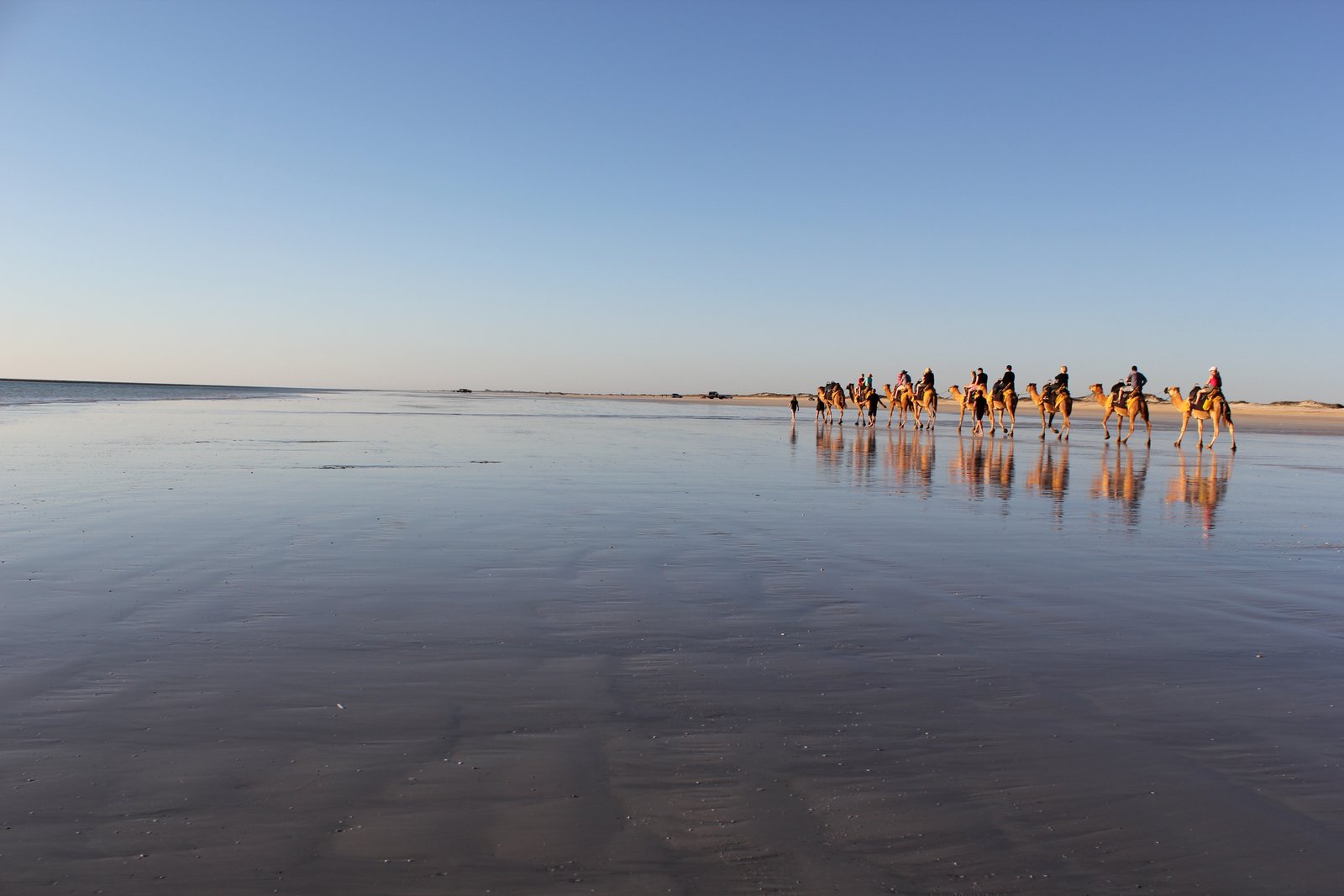 Camel Trekking In The Coast Atlantic